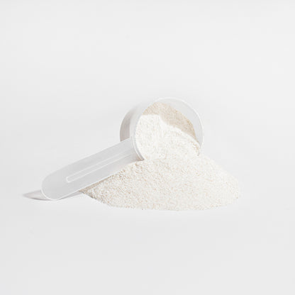 White Grass-Fed Collagen Creamer powder in a clear plastic scoop on a light gray background